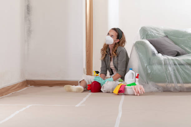 Reliable Basement Mold Remediation contractor in Fredericksburg, VA by 24 Hour Mold Removal